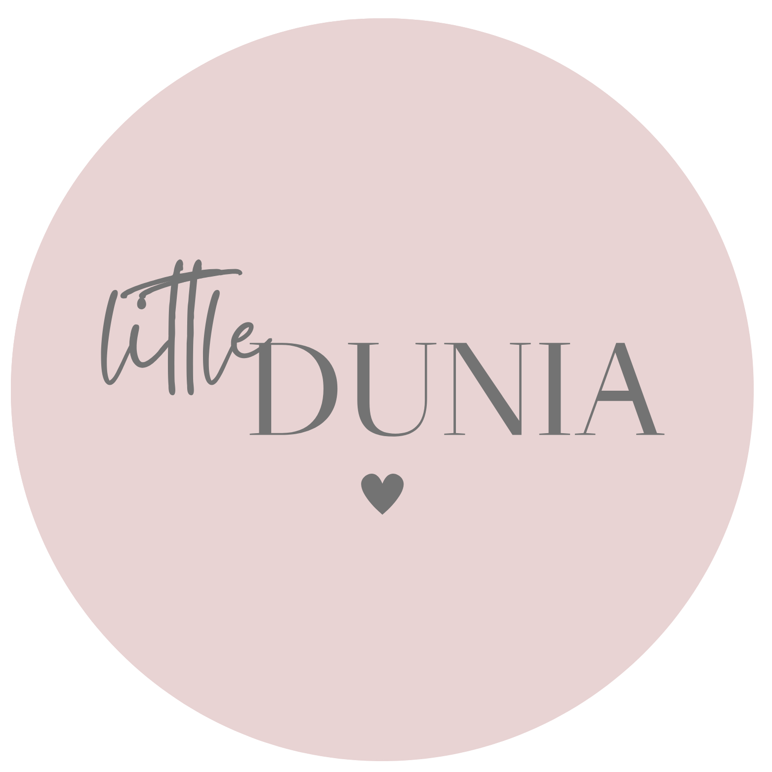 Little DUNIA logo